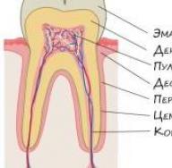 How to strengthen teeth if they are destroyed How to strengthen teeth for children from 3 years old