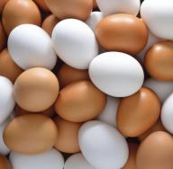 Kanamune palju Miks unistada palju munadest pesas