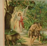 Почему Бог допустил грехопадение Адама и Евы