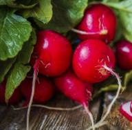 Can pregnant women eat radishes?